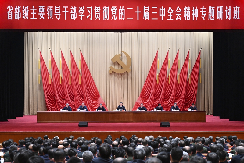 深入学习贯彻党的二十届三中全会精神 凝心聚力推动